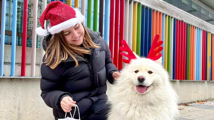 Dog-Friendly Howliday Market in Toronto!