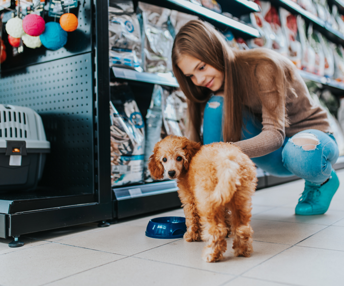 8 Dog Products We Can’t Live Without!