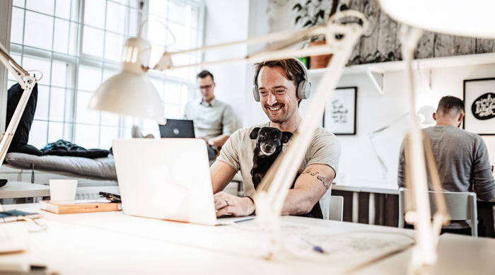 Man sitting in the office working with a dog on his lap.