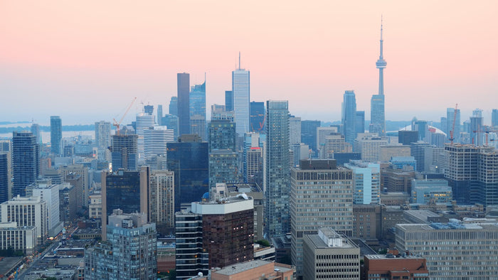 Doggos & the City - Aug 2 - Aug 13 Featured Image