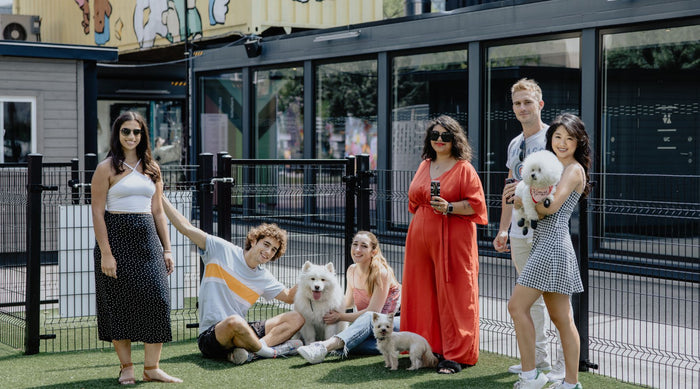 Group of women and men all in variety of standing and sitting poses at Bark Yard - Stackt Market with off-leash dogs. Image is a promotional image for Babes and Barks Event