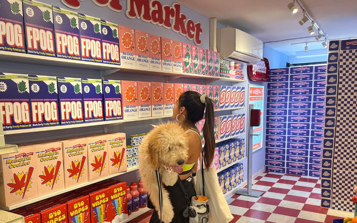 Woman holding a dog in her arms while she is perusing through an aisle of products set up to look like a grocery store aisle.